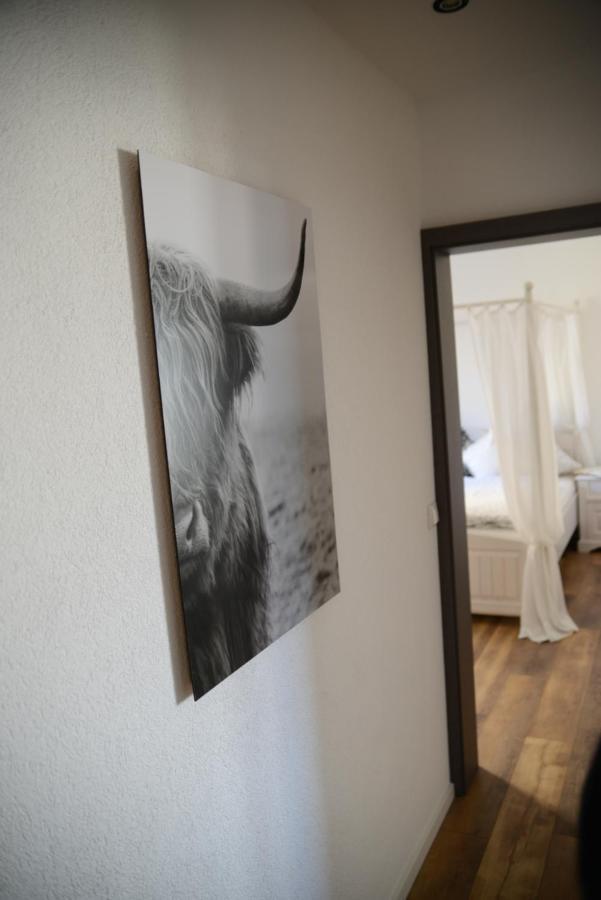 Ferienwohnung Die Alte Schule Daun Bagian luar foto