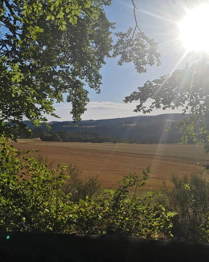 Ferienwohnung Die Alte Schule Daun Bagian luar foto